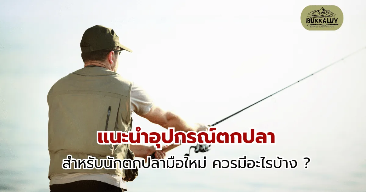 แนะนำอุปกรณ์ตกปลามือใหม่ ควรมีอะไรบ้าง ?