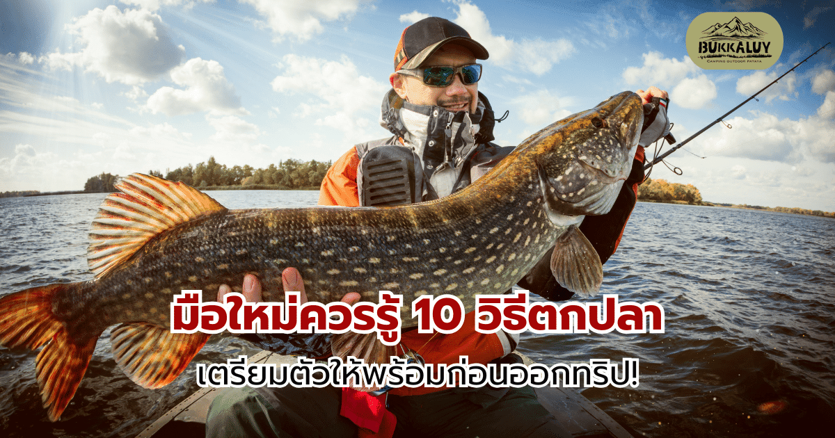 มือใหม่ควรรู้ 10 วิธีตกปลา เตรียมตัวให้พร้อมก่อนออกทริป!