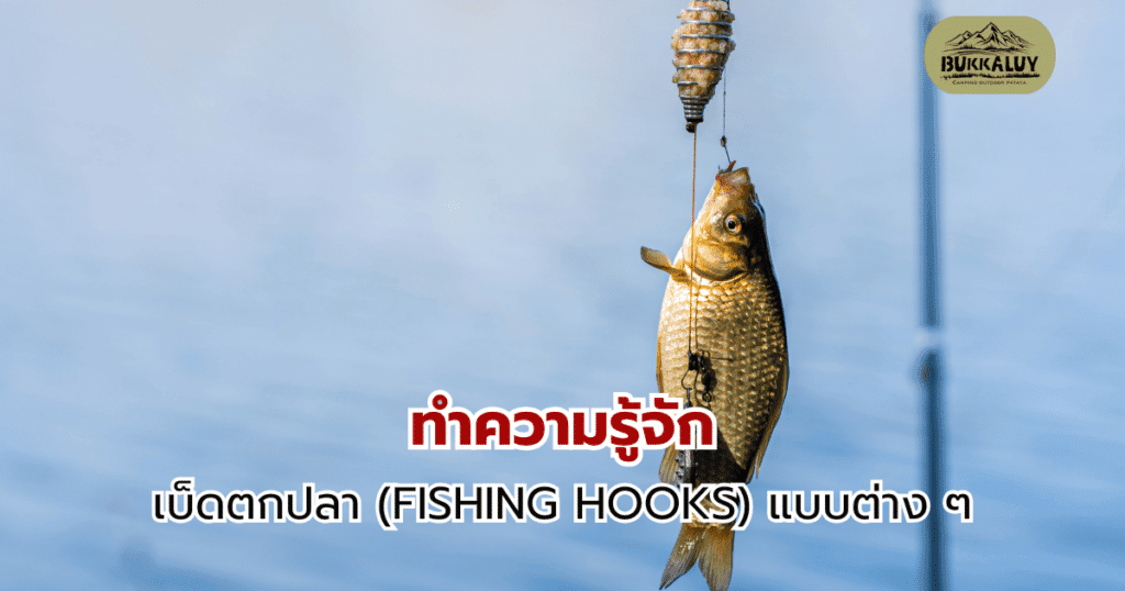 ทำความรู้จักกับเบ็ดตกปลา (FISHING HOOKS) แบบต่าง ๆ