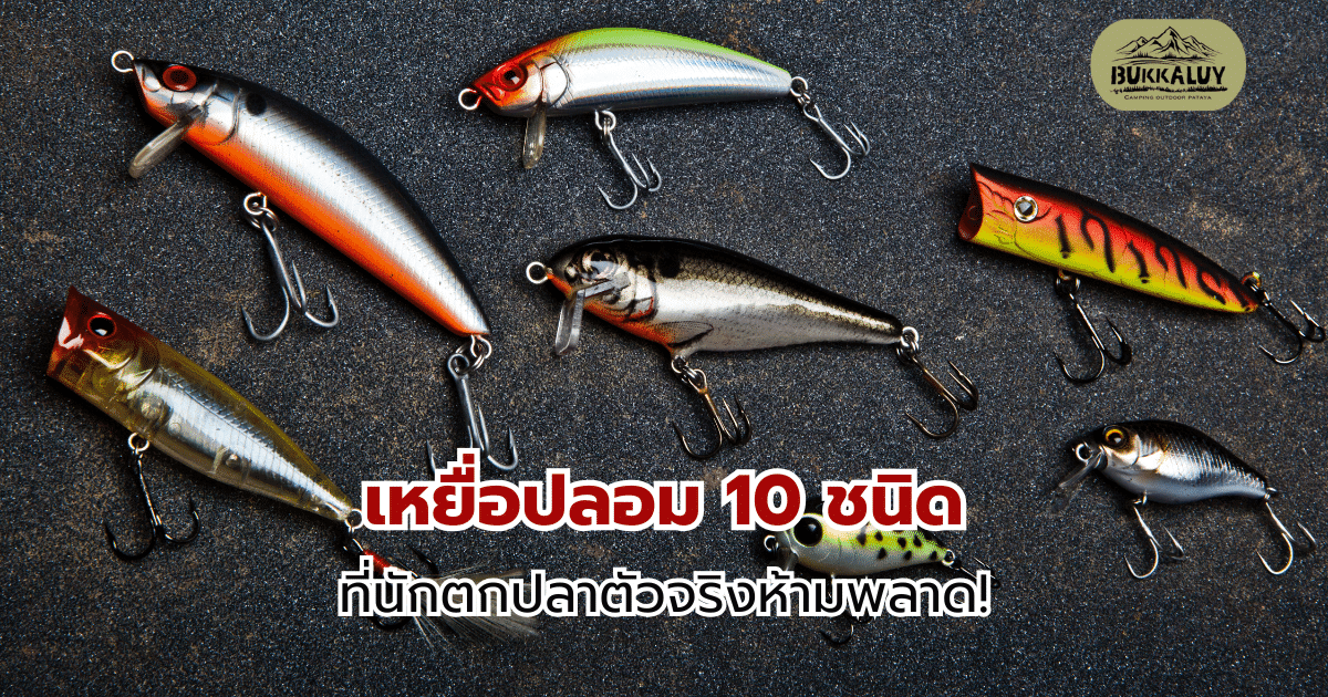 เหยื่อปลอม 10 ชนิด ที่นักตกปลาตัวจริงห้ามพลาด!