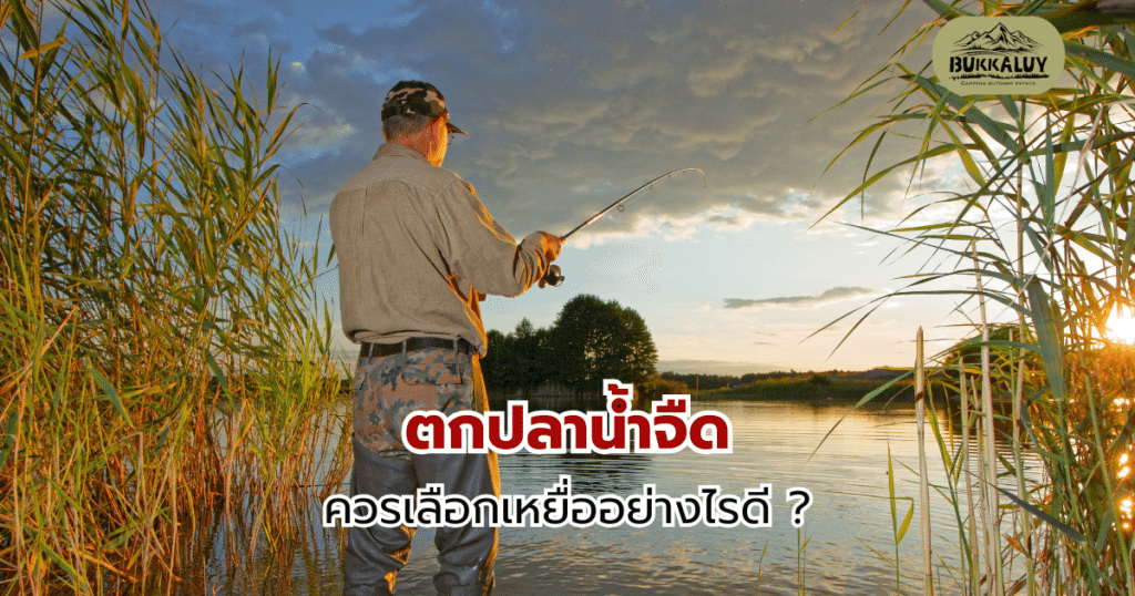 ตกปลาน้ำจืด ควรเลือกเหยื่ออย่างไรดี ?