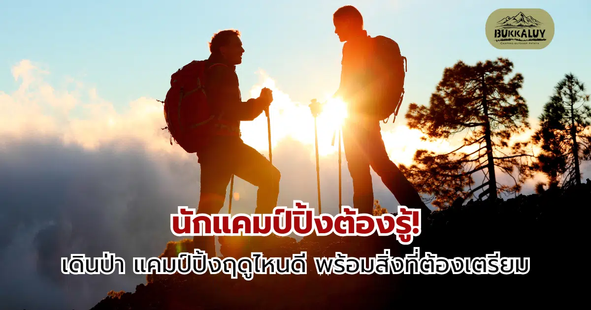 นักแคมป์ปิ้งต้องรู้! เดินป่าฤดูไหนดี พร้อมสิ่งที่ต้องเตรียม