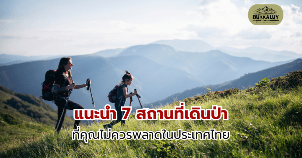 7 สถานที่เดินป่าที่คุณไม่ควรพลาดในประเทศไทย