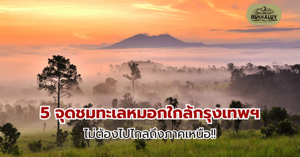 5 จุดชมทะเลหมอกใกล้กรุงเทพฯ ไม่ต้องไปไกลถึงภาคเหนือ!!