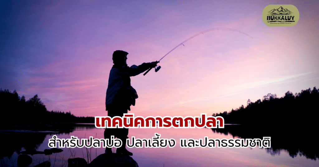 เทคนิคการตกปลาสำหรับปลาบ่อ ปลาเลี้ยง และปลาธรรมชาติ