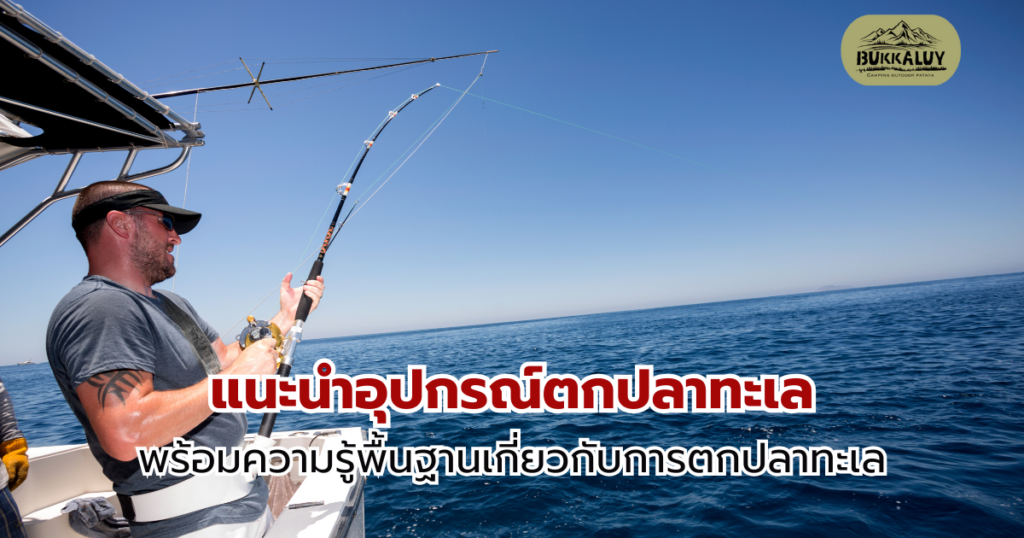 แนะนำอุปกรณ์ตกปลาทะเล พร้อมความรู้พื้นฐานเกี่ยวกับการตกปลาทะเล