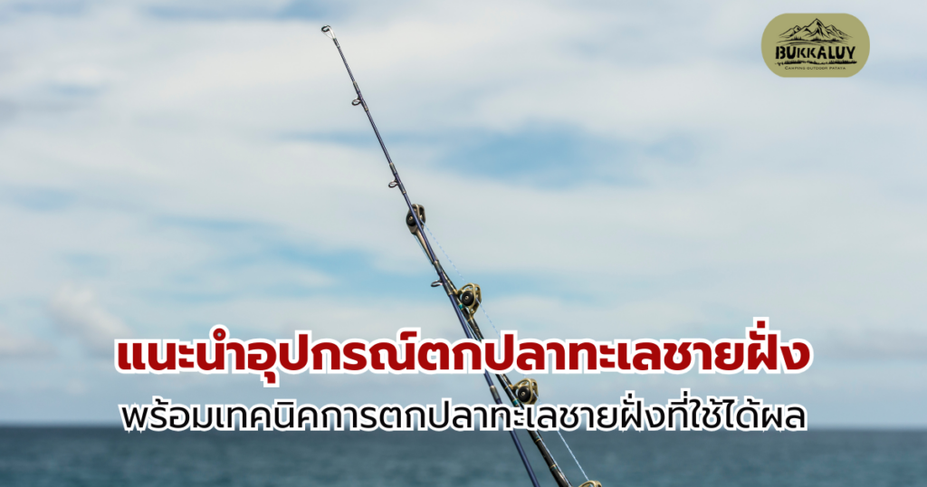 แนะนำอุปกรณ์ตกปลาทะเลชายฝั่ง พร้อมเทคนิคการตกที่ใช้ได้ผล